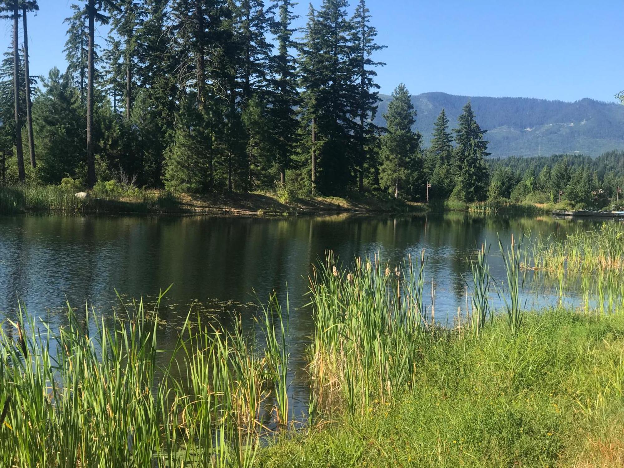 The Best Luxury River View Full Apartment Lodge Unit - 5049 Cle Elum Eksteriør bilde